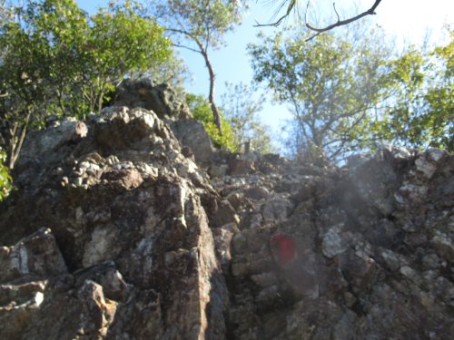 登山道